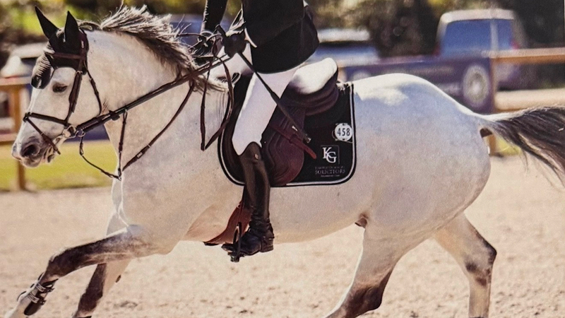Equestrian- 1 (1)