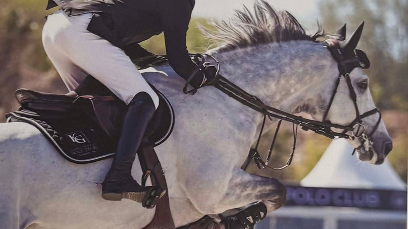 Equestrian- 1